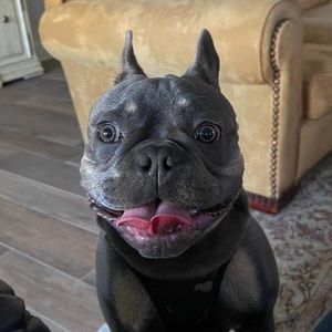 Meet your Posher, Brian